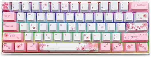 Ｂ☆新品 echo & Synchro jelly ピンク Amazon | Akko (アコ) CS Jelly Pink(ジェリーピンク)スイッチ