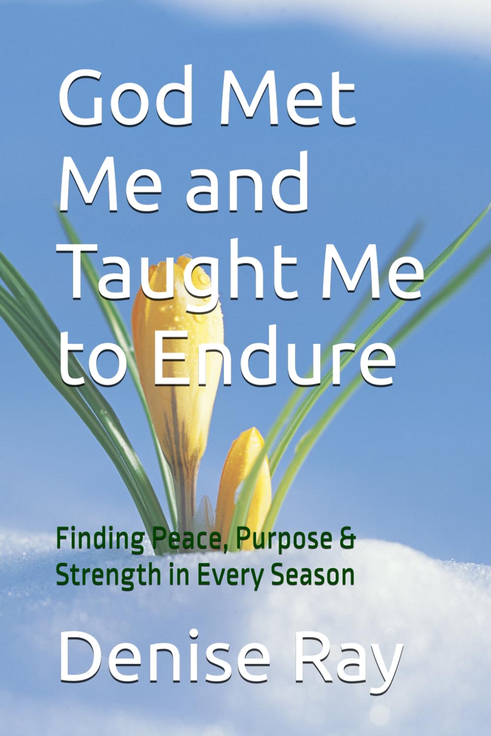 God Met Me and Taught Me to Endure: Finding Peace, Purpose & Strength in Every Season