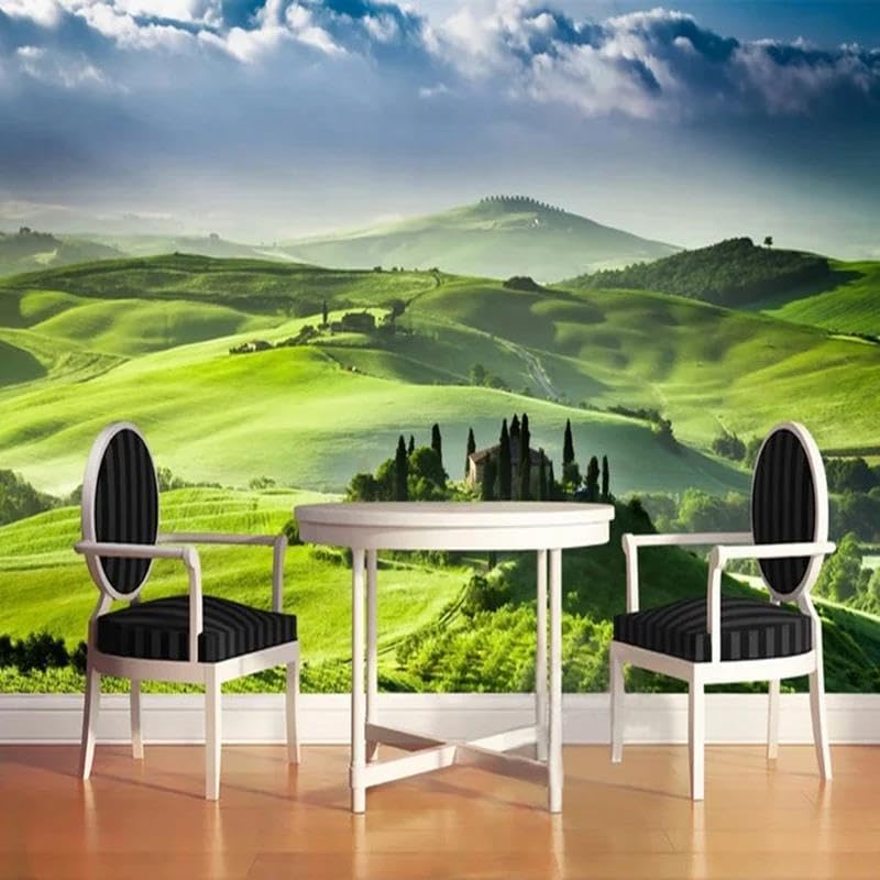 Papier peint 3D nature pour agrandir un salon sombre et illuminer une chambre
