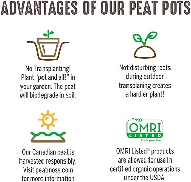 Jiffy Biodegradable Peat Pots for Seedlings, 5 Inch, 100 Pack