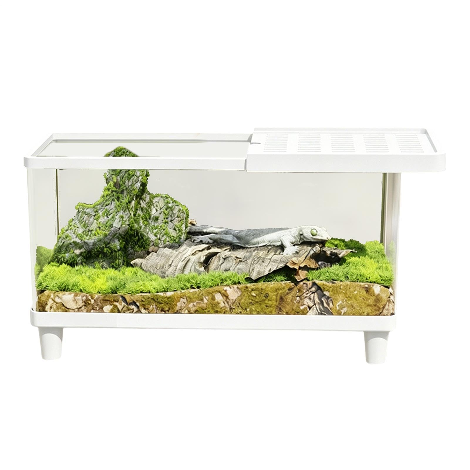 Terrario In Acrilico - Contenitore Lucertole Antifuga-Ventilato - Gabbia Da E Recinto Per Rettili - Adatto A Granchio Eremita, Iguana, Tartaruga, Drago Barbuto, Lumaca, Camaleonte