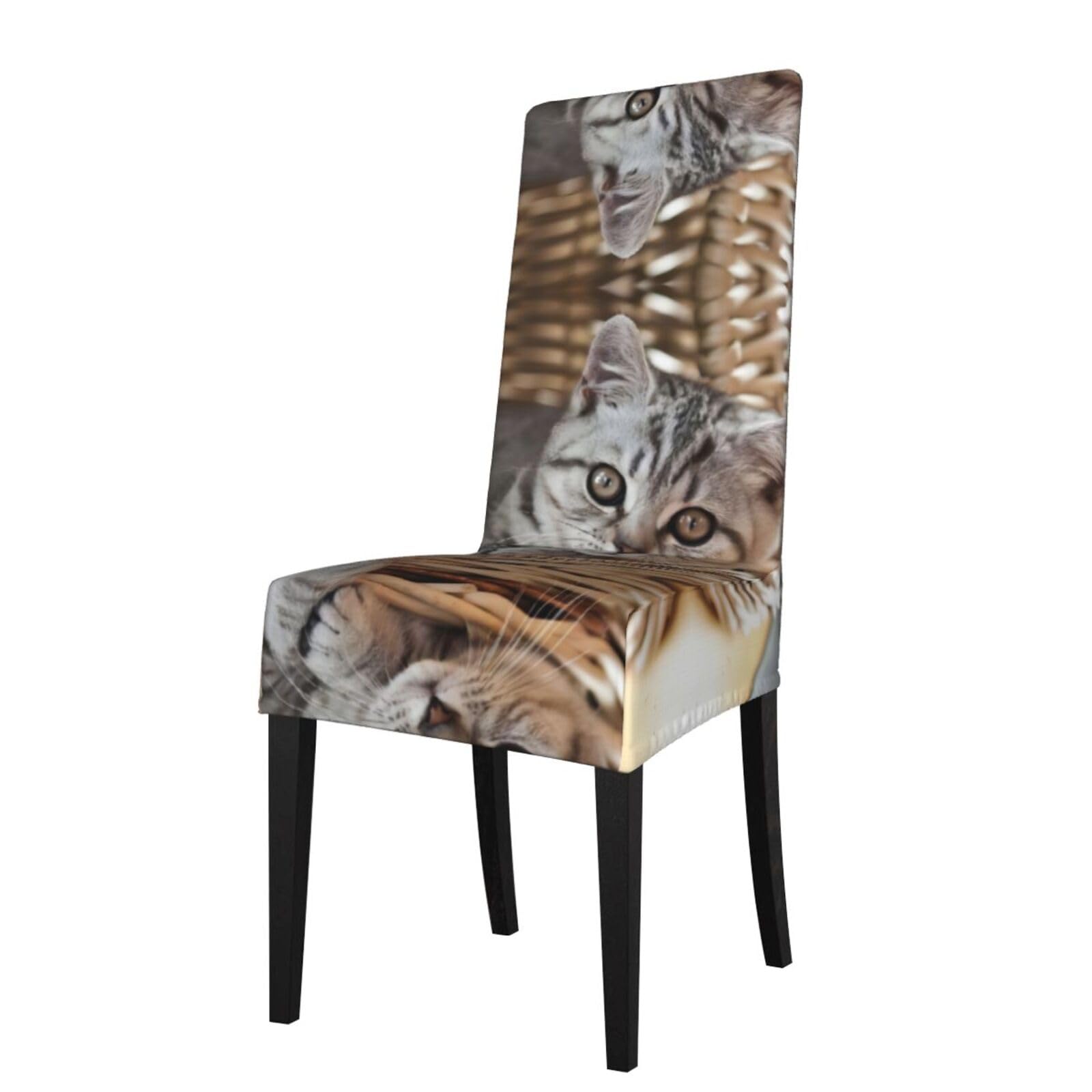 YYHWHJDE Cat Prints Protection Cover for Dining Chair – Stretchable Slipcovers for a Refreshing Dining Room Makeover