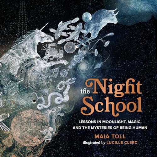 Page de couverture de The Night School