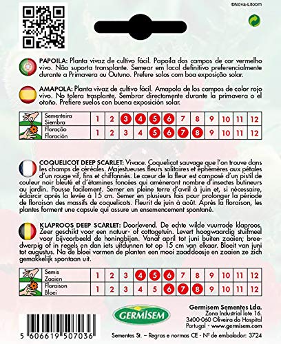 Germisem EC1569 Deep Scarlet Papaverzaad 1 g - Afbeelding 3