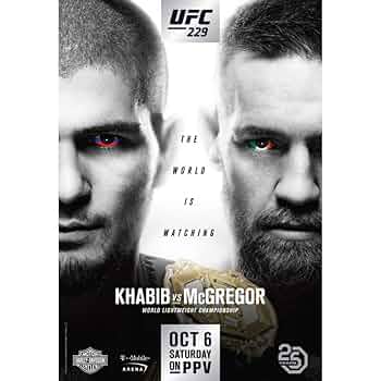 マルゴメドフ　VS　コナーマクレガー　パネル付き　特大ポスター　横1.5ｍ Amazon.co.jp: コナー・マクレガー Vs. フロイド メイウェザー