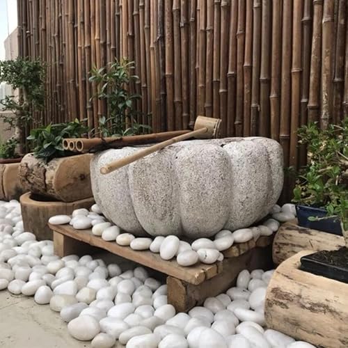 Miniatura 3 de YISZM Rocas blancas de río de 10 libras, guijarros naturales de 2 a 3 pulgadas para plantas de interior, piedras decorativas altamente pulidas,