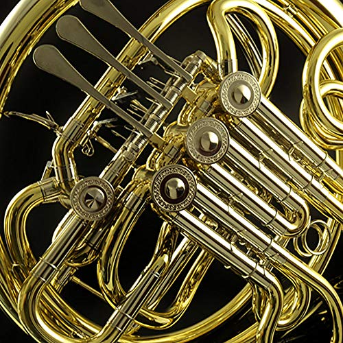The 21 Best Double French Horns of 2024 [Verified] Cherry Picks