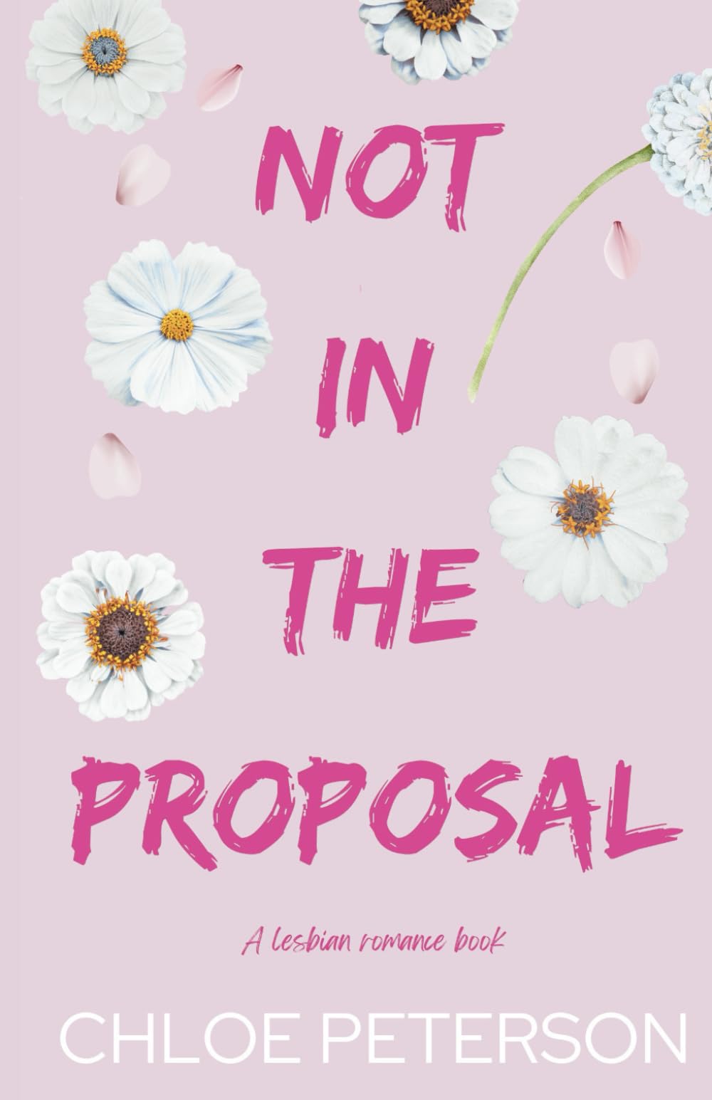 Not In The Proposal (Unspoken Terms)