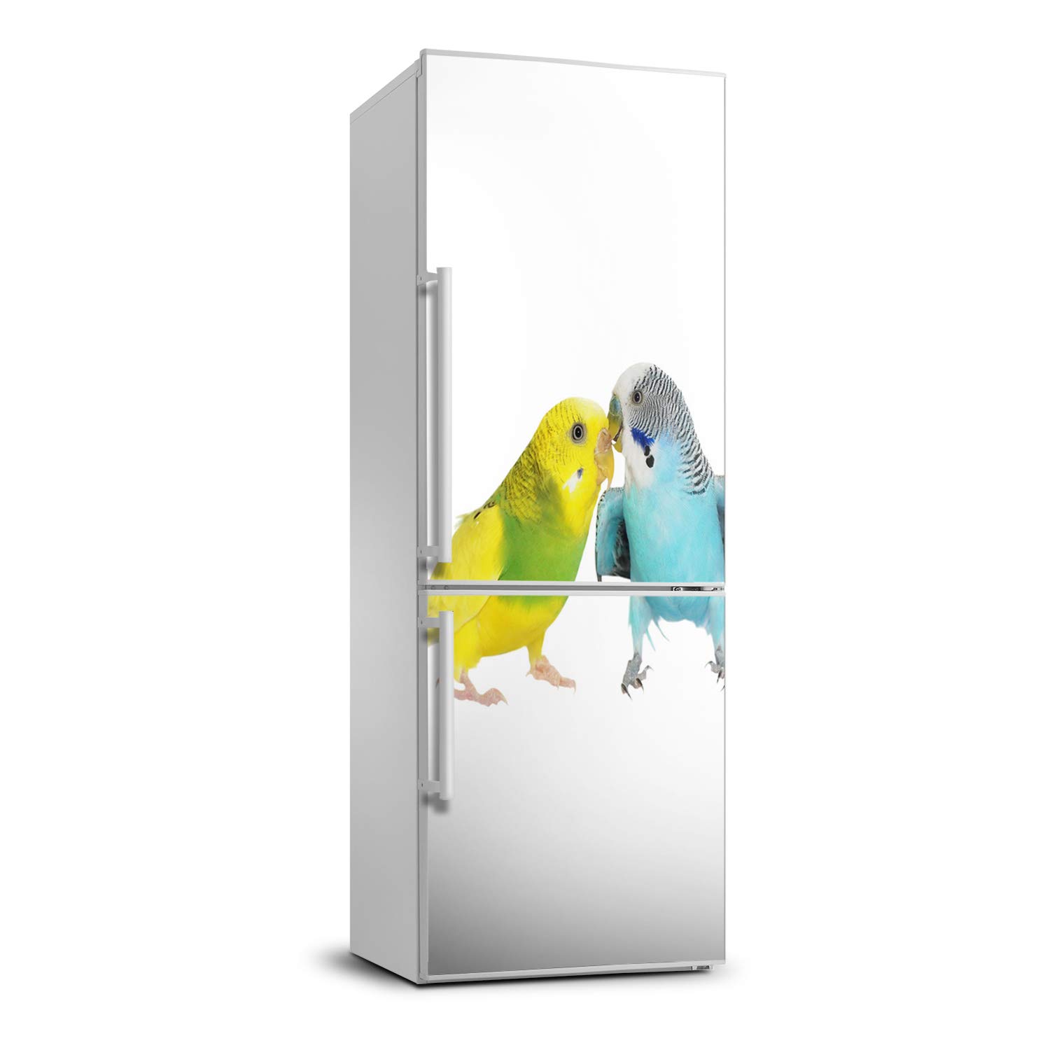 Cubierta del refrigerador autoadhesiva para ocultar arañazos vinilo de periquitos Tulup