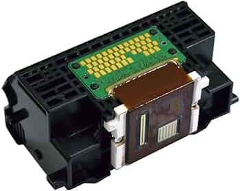 61TOezvT1qL._AC_UF350,