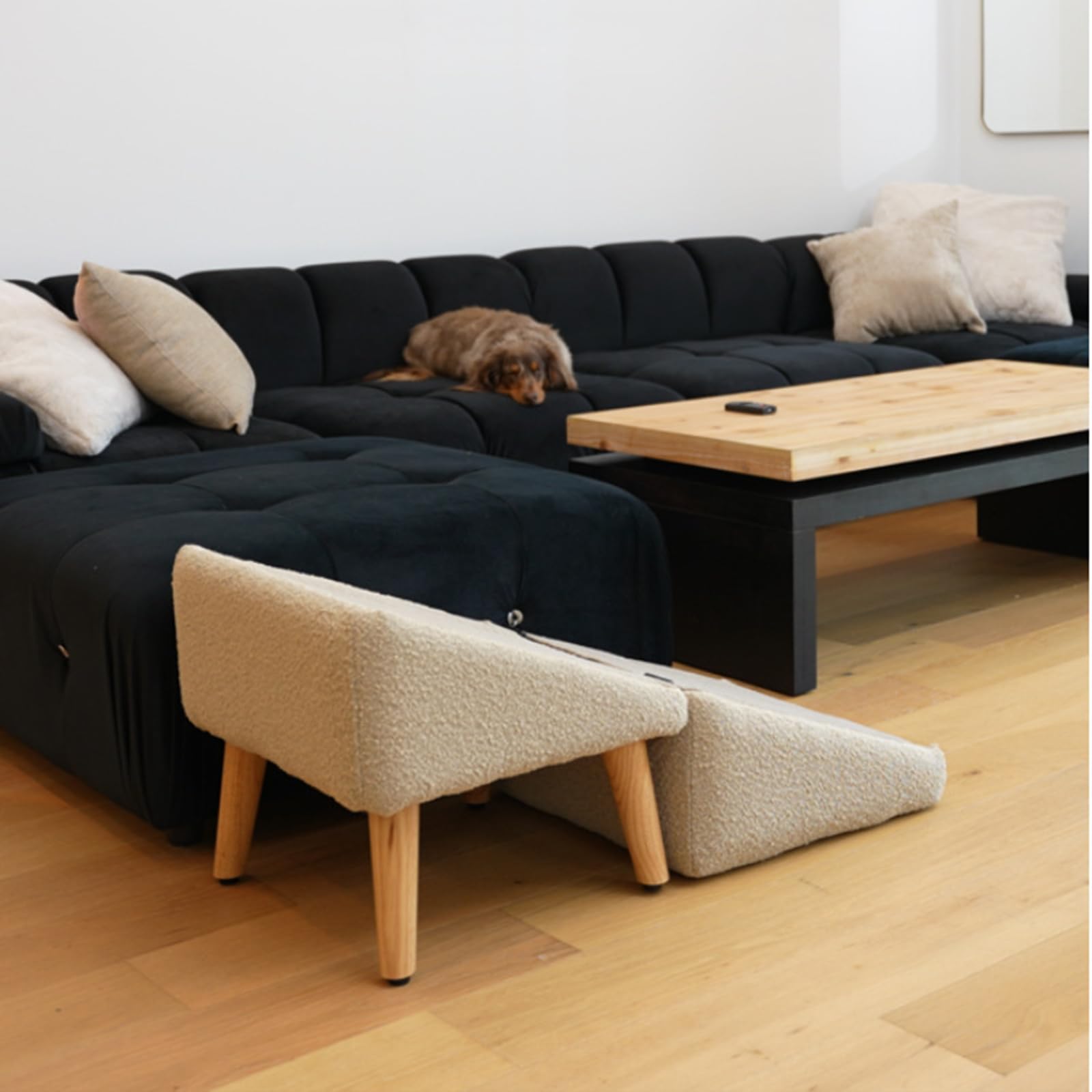 Generico Rampa Antiscivolo per Cani, Divano Letto Pieghevole per Auto, Scale per Cani di Piccola Taglia, Scale per Animali Domestici Leggere, per Letto a Soppalco E Divano,Nero