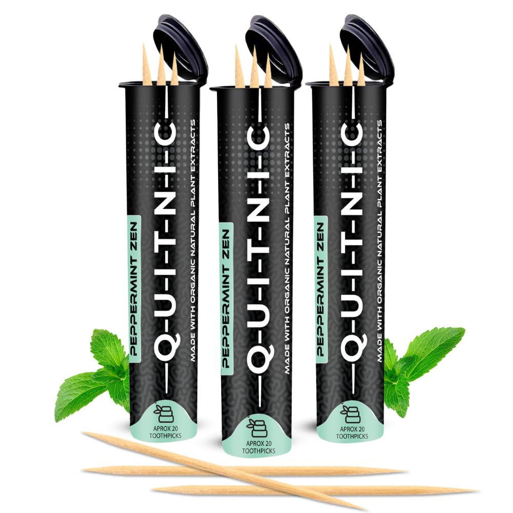 Quit-NIC Infused Cinnamon Flavored Toothpicks – Nicotine-Free, Non-GMO, Kosher, Vegan, 20 Count (Pack of 3) – Extra- Thick Peppermint Toothpicks for Adults to Help Quit Smoking