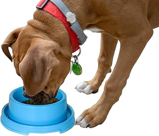bug proof cat food bowl