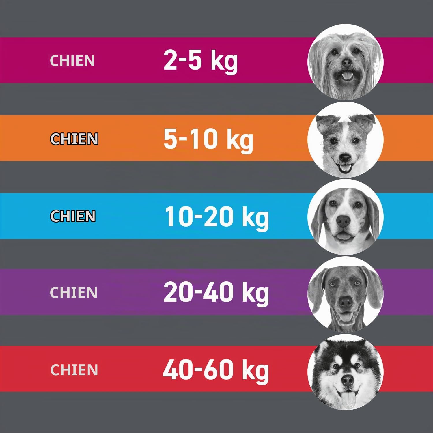 FRONTLINE TRI-ACT Chien S contre les tiques, les puces et les moustiques (5 à 10 kg)