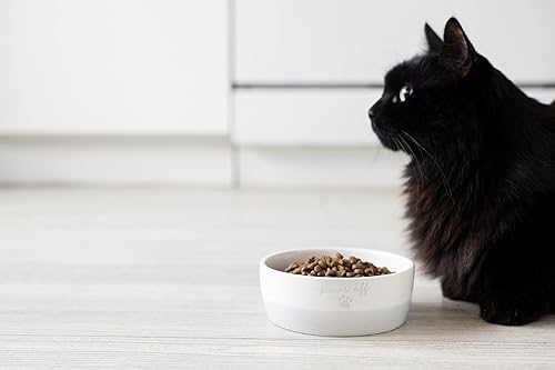 Miniatura 6 de Pearhead Ceramic Paws Off - Cuenco para gatos, capacidad para 1.3 tazas, plato para mascotas apto para bigotes para alimentos y agua, base