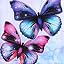 07 Purple Butterflies