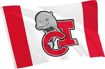 College Flag for Dolphins,California State Channel Islands CSU Gifts 3X5 ft University Outdoor House Sports Banner for Men Women,Double Sided