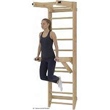 Swedish Ladder Wall Bar with Adjustable Pull-Up Bar | Solid Wood Construction, 10 Pine Rungs, All Ages, for Home, School, Gymnastics Training