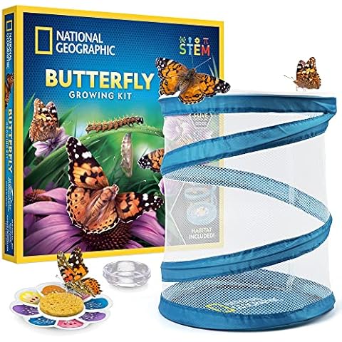 NATIONAL GEOGRAPHIC Butterfly Habitat Kit Cover