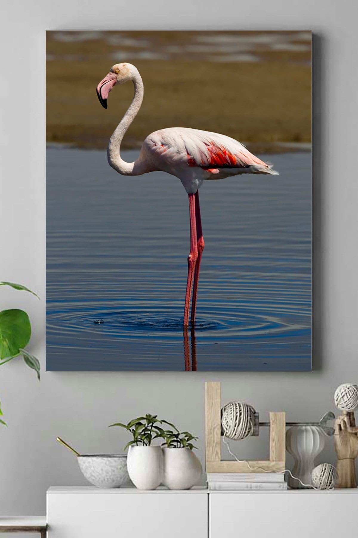 Postermanya (pster16031) Flamingo Hayvan Kanvas Tablo 50 x 70