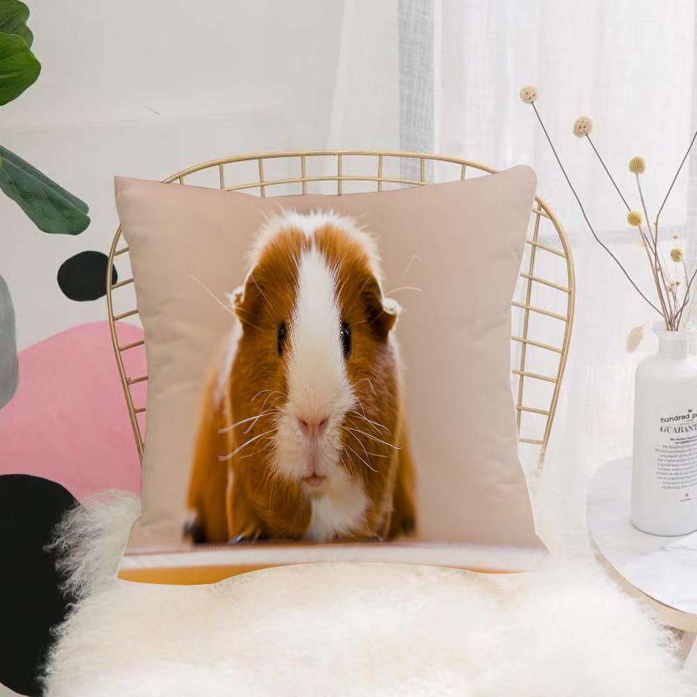 HYOSXW Cushion Cover,Throw Pillow Case Home Decorative for Living Room Bedroom Sofa Chair 16X16 Inch,Guinea pigs, quick mouse control,Pillowcase 40X40cm