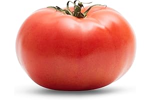 Slicing Maestro: The Superior Tomato Slicer