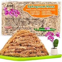 3 Oz Sphagnum Moss for Orchids - Sukh Sphagnum Peat Moss for Plants Dried Long Fiber Orchid Moss Potting Mix for Phalaenopsis Cattleya Orchids Repotting Succulent Carnivorous Potted Plant Reptiles