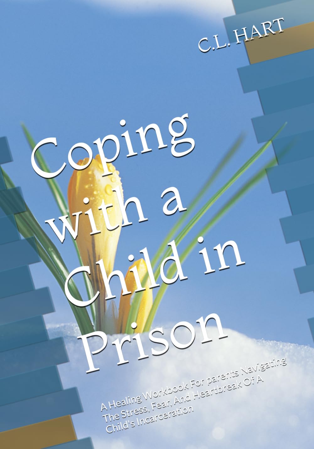 Coping with a Child in Prison: A Healing Workbook For parents Navigating The Stress, Fear, And Heartbreak Of A Child's Incarceration