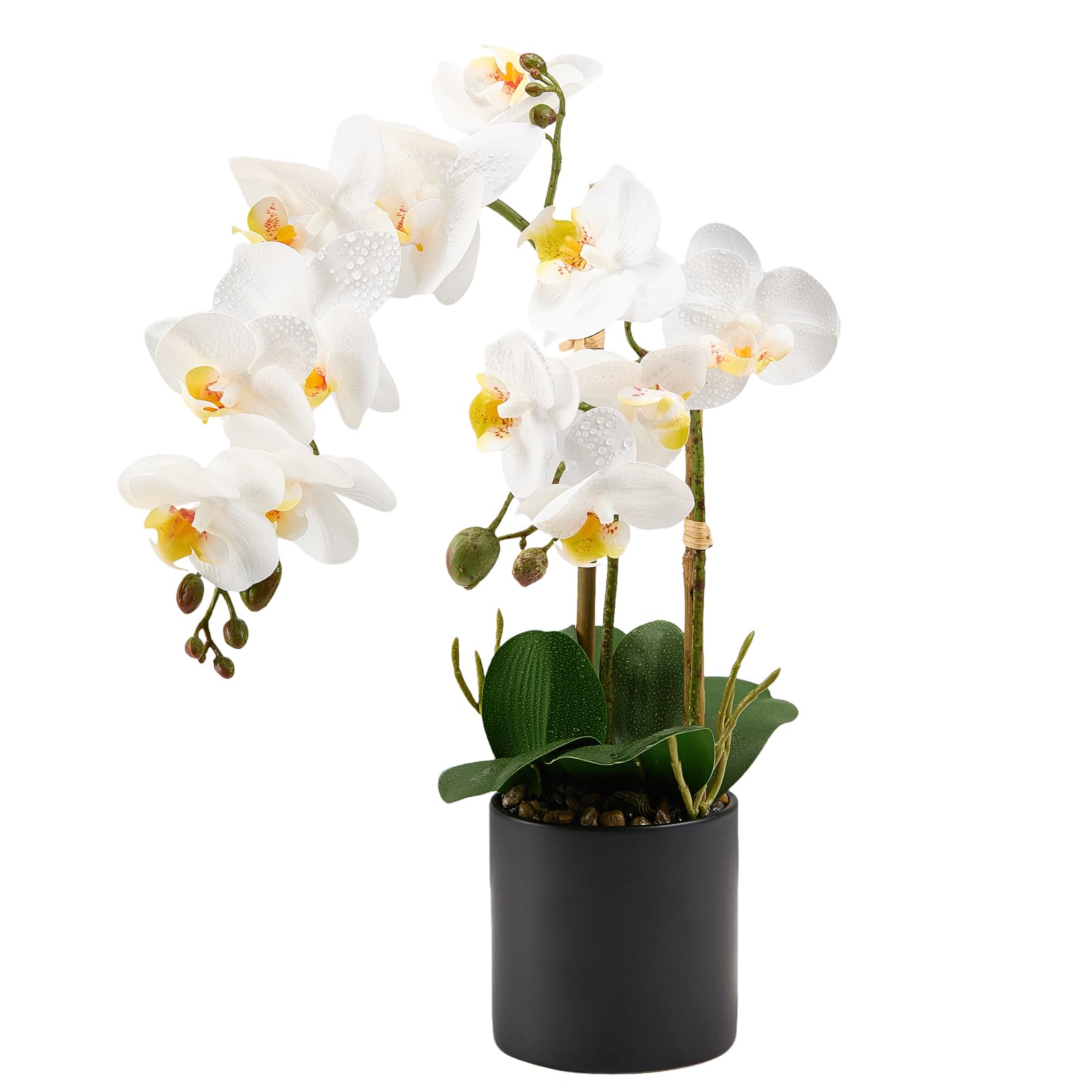 17 White Fake Orchid