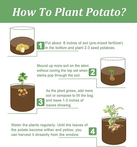 Miniatura 8 de Auofin 2 paquetes de bolsas de cultivo de patatas de 10 galones suministros de jardín para cultivar verduras y flores macetas de jardinería con asas