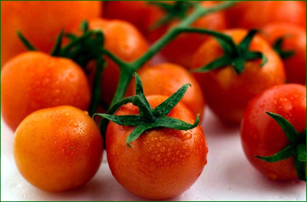 Tomato Large Cherry Basket Pack Garden Heirloom Vegetable Bulk 1 Lb Seeds