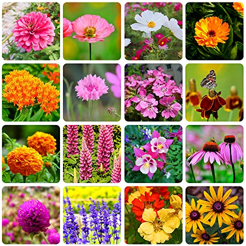 10000+ Perennial Mix Wildflower Seeds 16 Assorted...