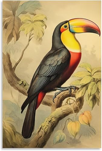 Póster de paisajismo, pintura tucán vintage, arte de pared tropical, arte de pared de la naturaleza, arte moderno para sala de estar, pinturas