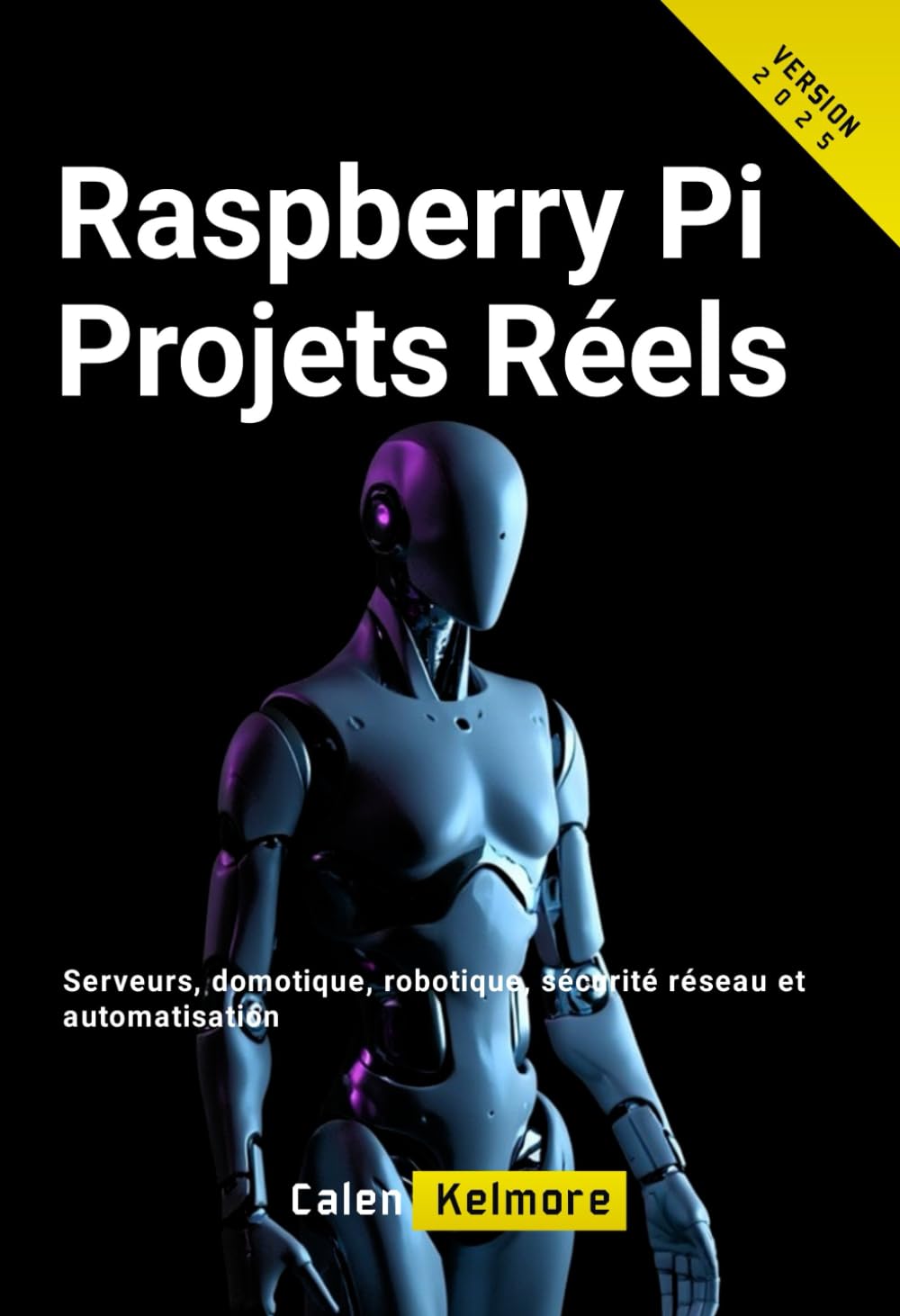 Raspberry Pi Projets Réels: Serveurs, domotique, robotique, sécurité réseau et automatisation