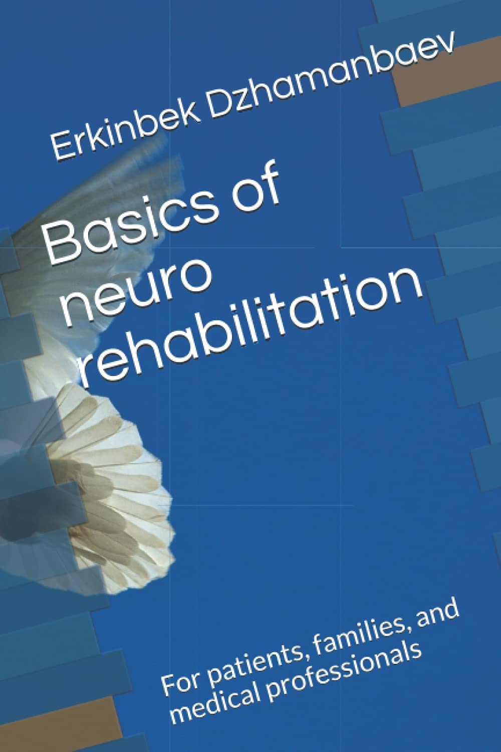 Basics of neuro rehabilitation: For patients, families, and medical professionals