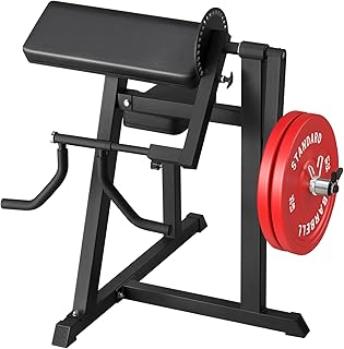 Arm Extension Muscles: Triceps, Shoulders, And Back Strength Explained ...