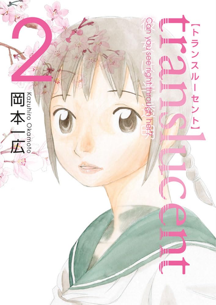 Translucent Volume 2      Paperback – November 13, 2007