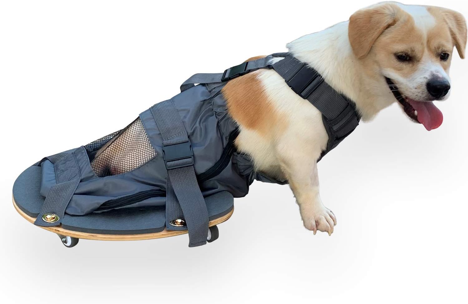 derYEP Pet Scooter Wheelchair for Rear Legs paralyzed Dog Protects Chest and Limbs