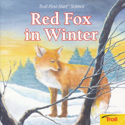 Red Fox in Winter (First Start Science)
