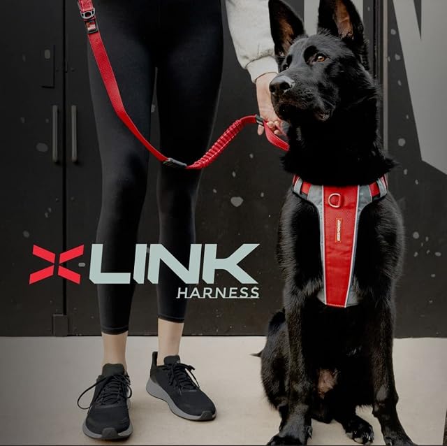 Foto 2 de 8 de EzyDog X-Link - Arnés para perro, reflectante y acolchado, sin tirones, para entrenamiento y paseos diarios…