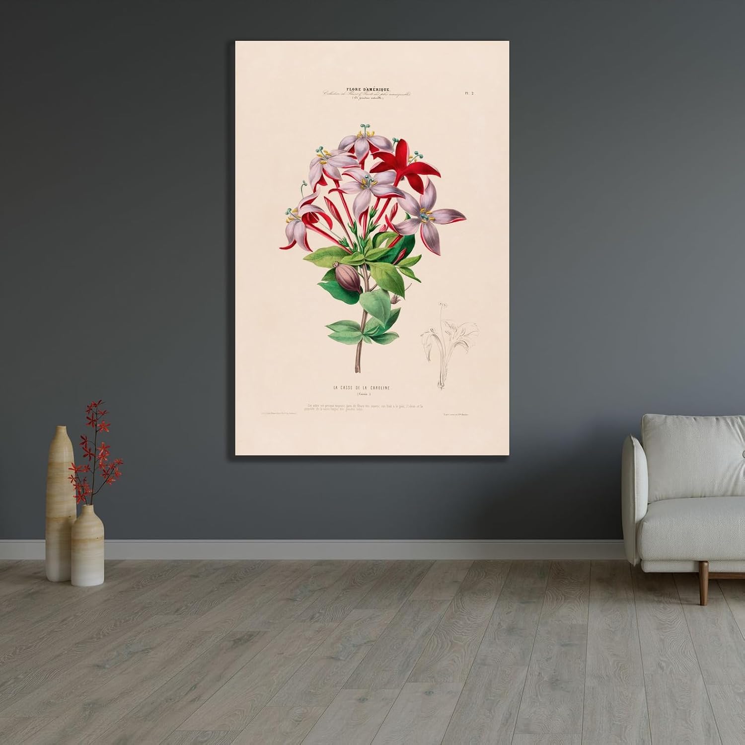 ArtDirect Flora of America, drawn from nature on site Pl.002 (1843) Art Print Giclee Poster by Etienne Denisse - Ready to Frame, Sizes 7x10, 9x14, 13x20, 24x36, 32x48 and 40x60 In