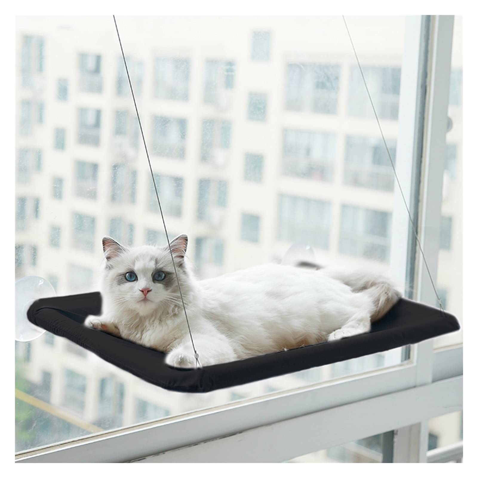 Hamac Chat/Perchoir à Chat Siège de chat de fenêtre, siège de fenêtre de chat de chat avec ventouses fortes, lit de chat monté sur fenêtre for chats d'intérieur, sécurité, économie d'espace, facile à