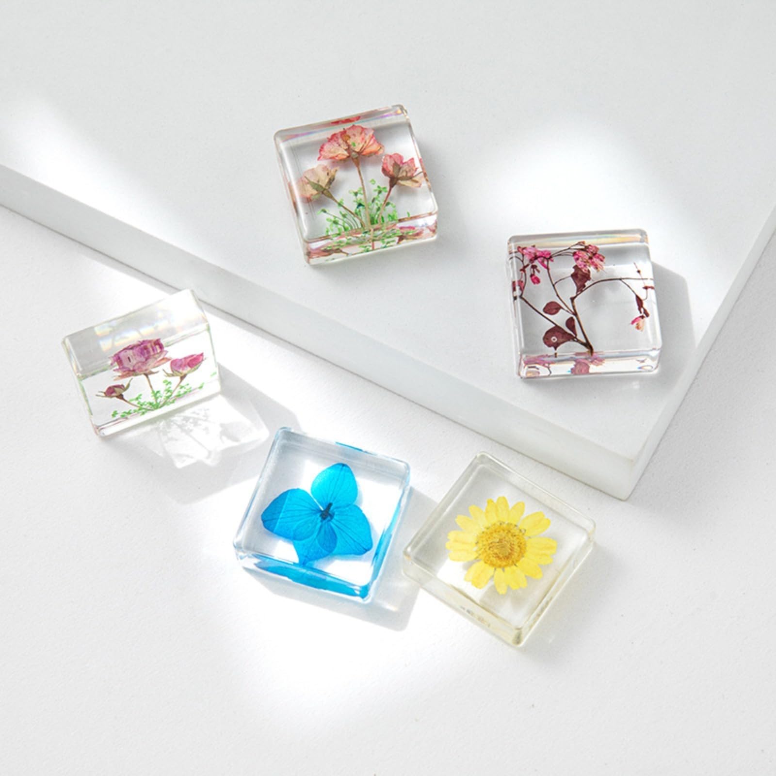 12 Stück Blume in Harz Exemplare gepresste Blume Briefbeschwerer Blume aus Harz Exemplare Sammlung für Schreibtisch echte Blumen Proben Papiergewichte für Kinder wissenschaftliche pädagogische