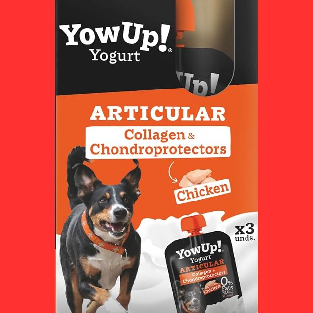 Packs de 3 Yogur para Perros - Puede ser de Hair&Skin Salmón, Articular Pollo, LCASEI Pavo o Natural