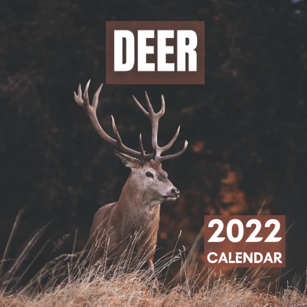 Buy Deer 2022: Monthly Square with Stunning Photos of Stags Perfect for