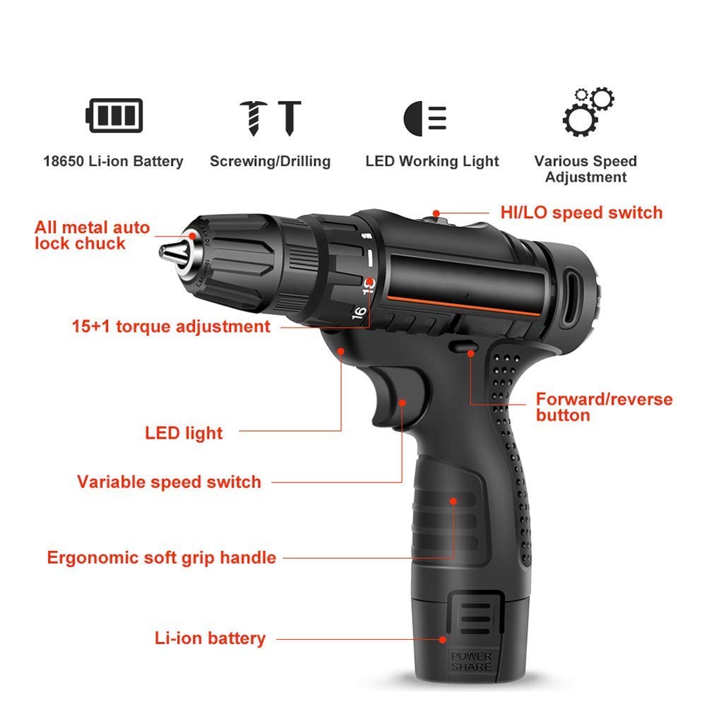 Trapano Avvitatore a Batteria Trapano Combinato agli ioni di Litio 12V-Max in Custodia da Trasporto, Faro da Lavoro a LED, Batteria a Cambio rapido e Caricabatterie Inclusi
