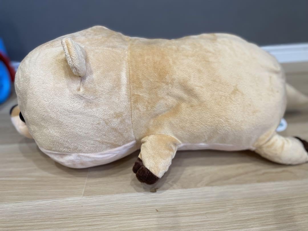Amazon.co.jp: カワウソ兄弟 ぬいぐるみ 2種類セット : おもちゃ