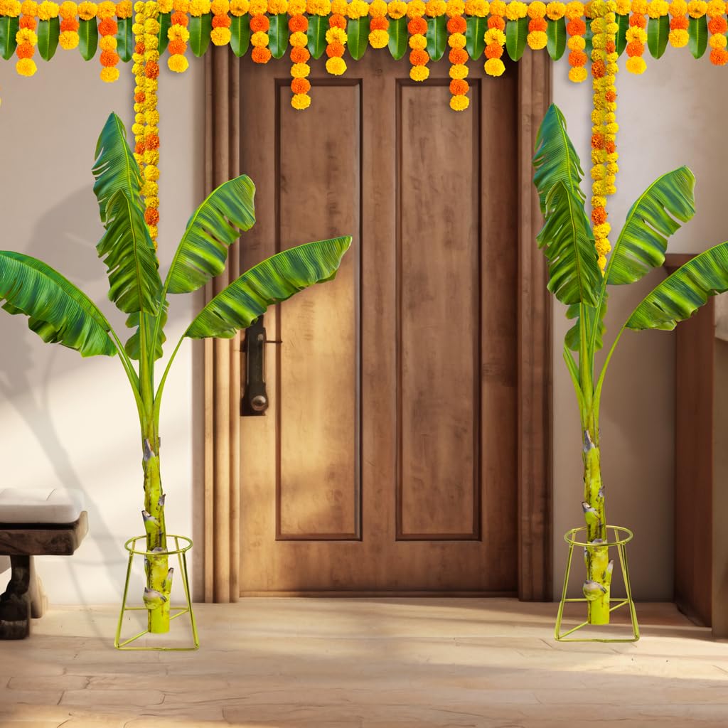 TrustBasket Banana Stand/Holder for Pooja - Gold (Set of 2), Metal 3