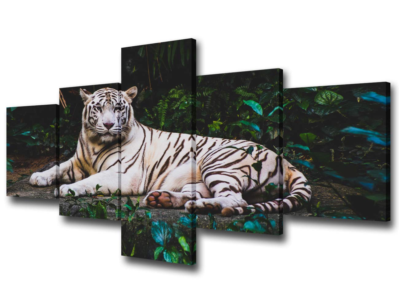 BPA Animal Canvas Wall Art White Tiger Rest on Ground Picture Wildlife Painting 5 Panels Modern House Decoration Living Room Tiger Safari Artwork Wooden Framed Ready to Hang Poster(50Wx24H inches)