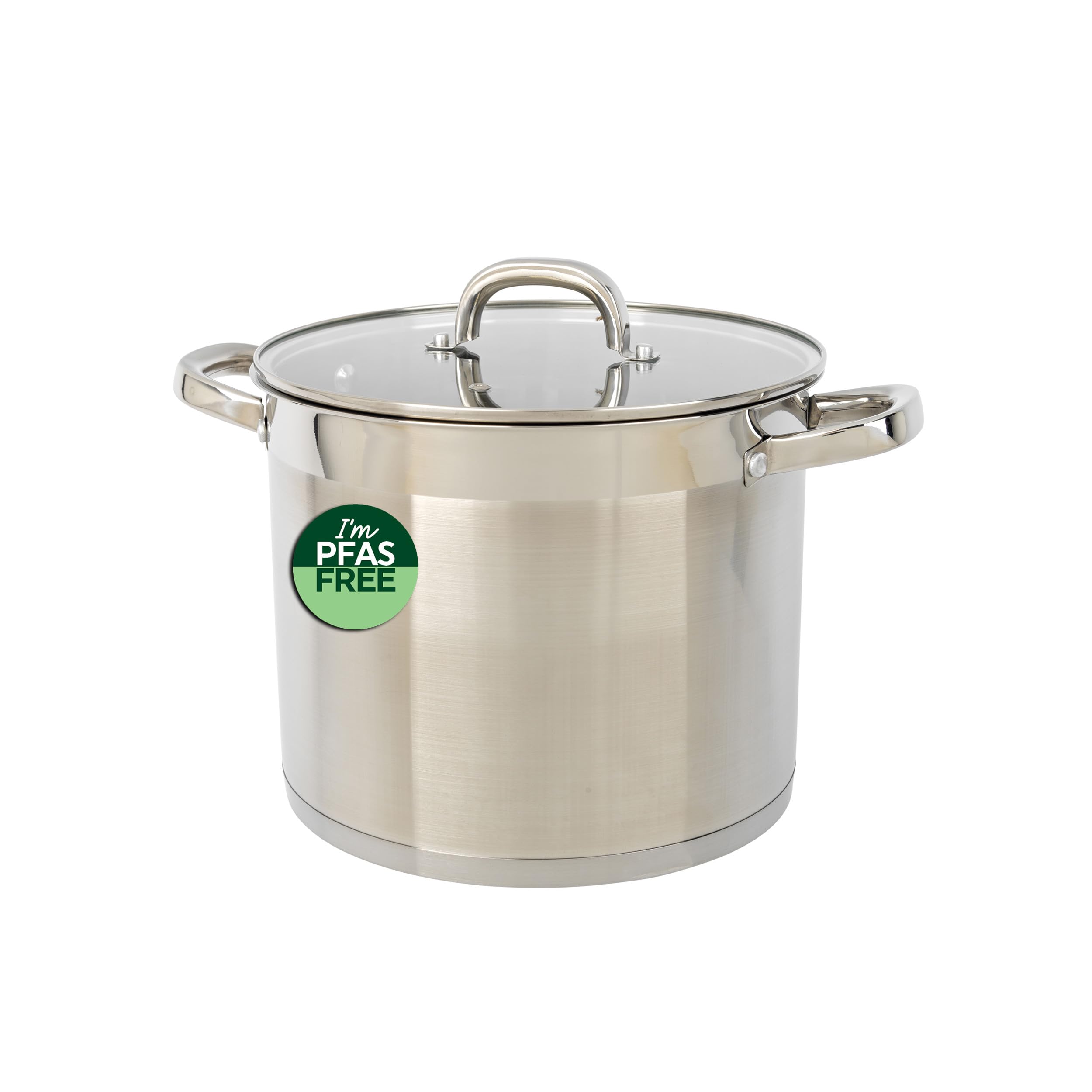 Salter Silver Timeless 24Cm Stockpot - Non-Stick Stainless Steel Cooking Pan, 9L, Includes Tempered Glass Lid & Steam Vent, Easy Carry Handles, Dishwasher Safe, Suitable For All Hobs Including Induction